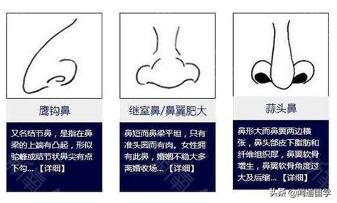 鼻子面相学|相学最有福气的7种鼻子 面相中最有福气的7种鼻子